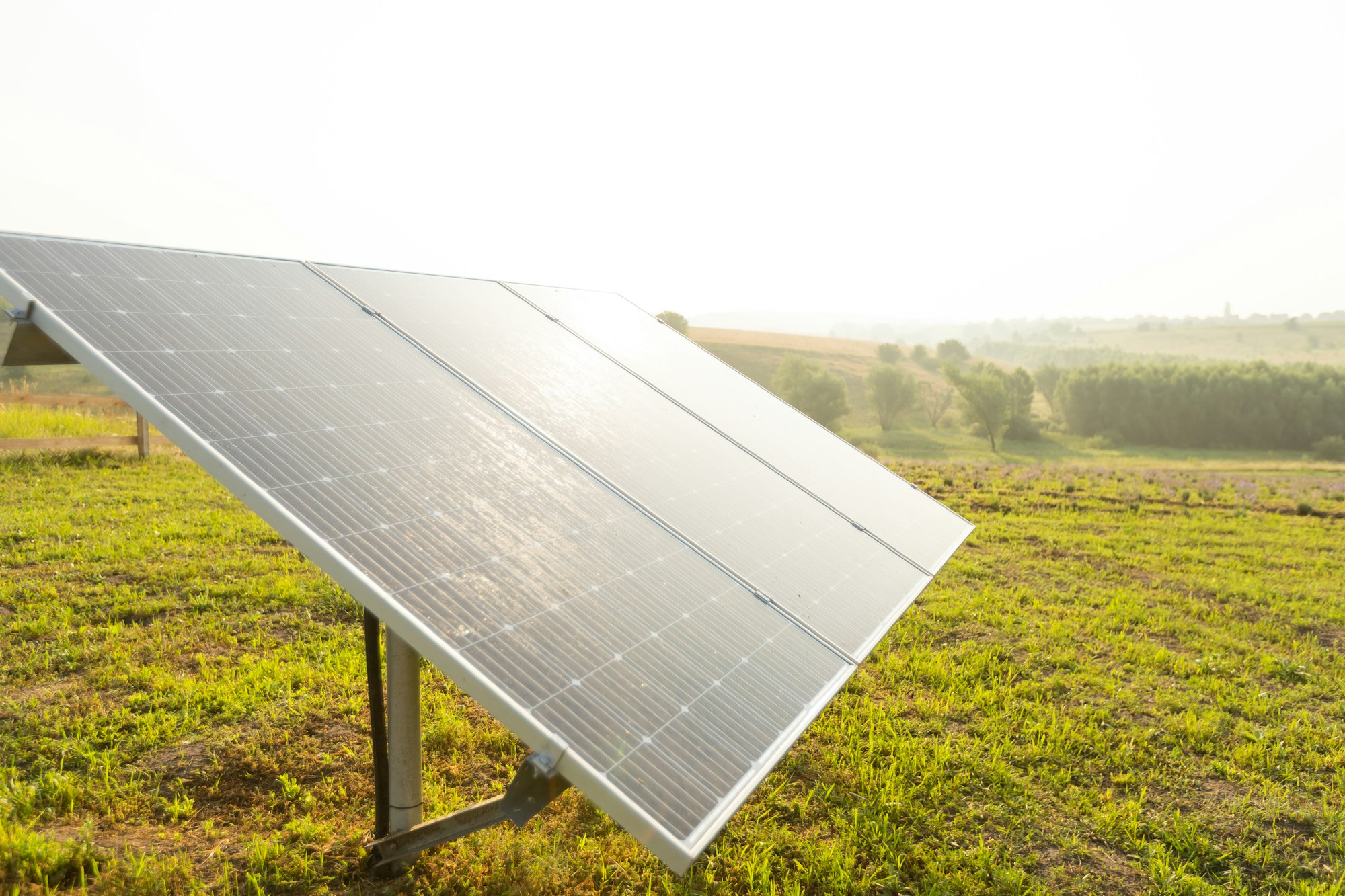 Off-Grid Solar Panel Systems: Pros, Cons, and Key Considerations